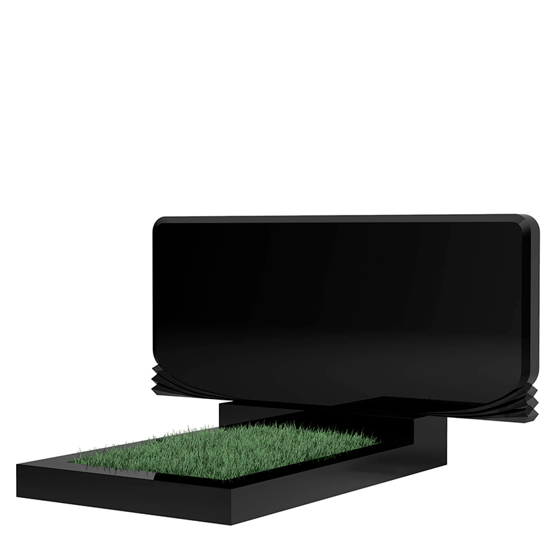 Памятник MS1020